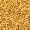 Dry Methi Whole Or Fenugreek Seeds