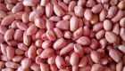 Bold Groundnuts