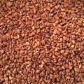 Red Sesame