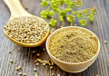 Scooter Coriander